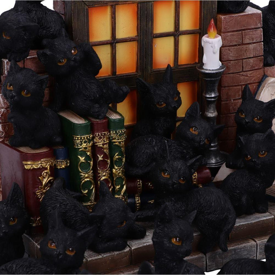 Soporte para gatos con arena para brujas