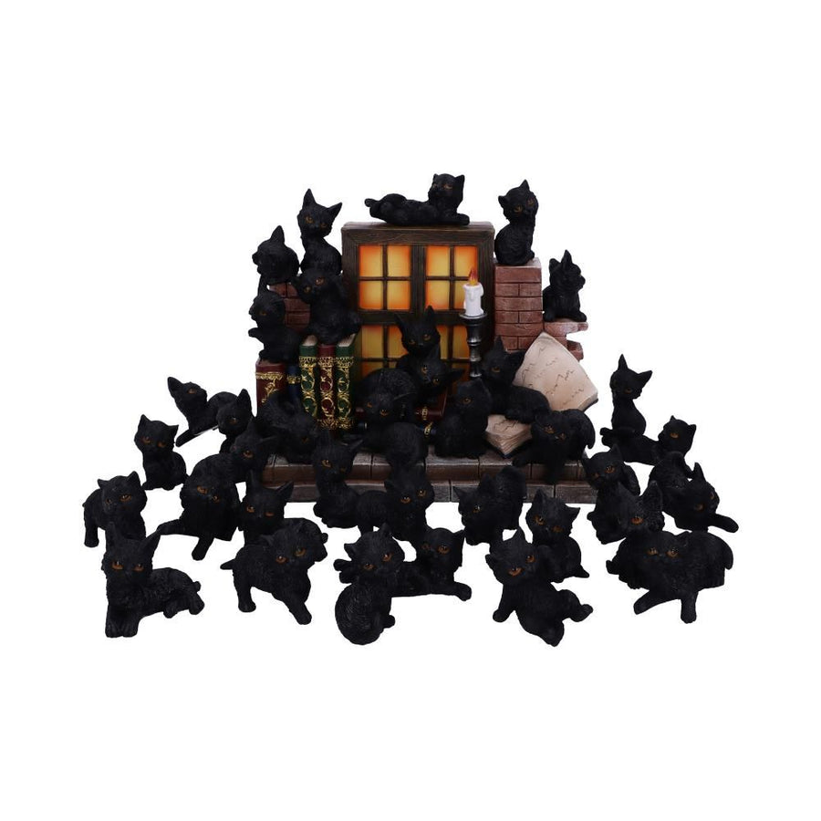 Soporte para gatos con arena para brujas