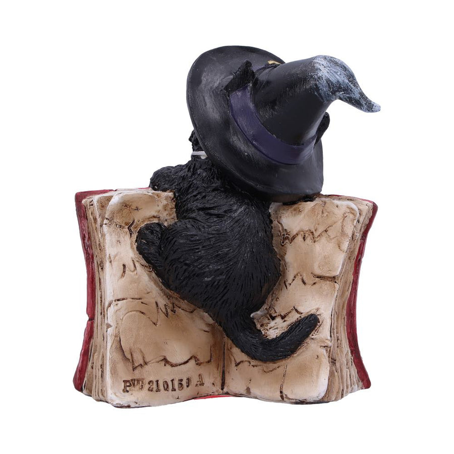 小猫的魔法书，红色