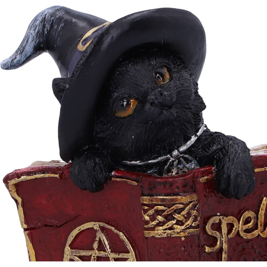 小猫的魔法书，红色